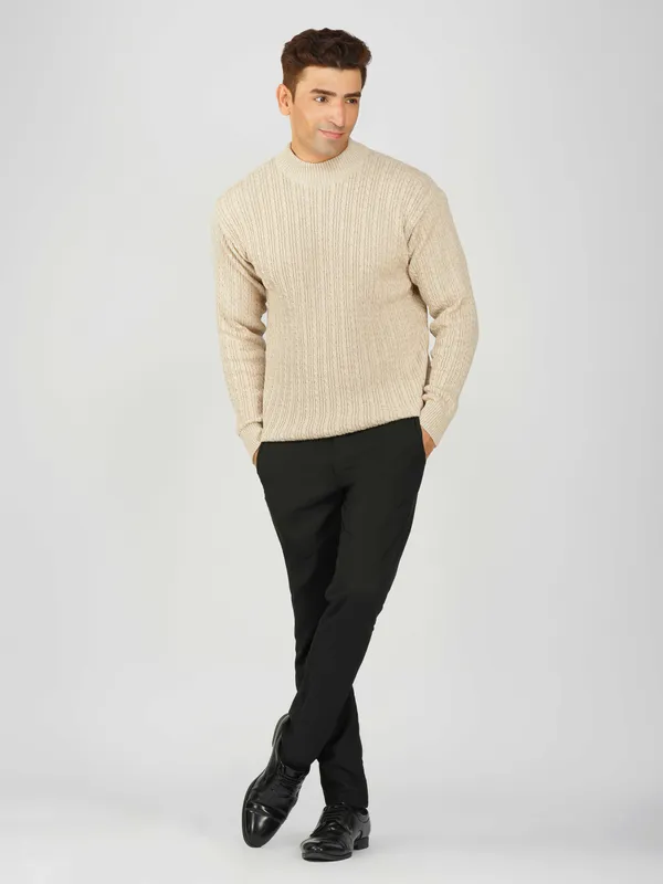 Cream_Men's_Small_Cable_Knit_High_Neck_Sweater_Winter_Warm_Slim_Fit_Pullover