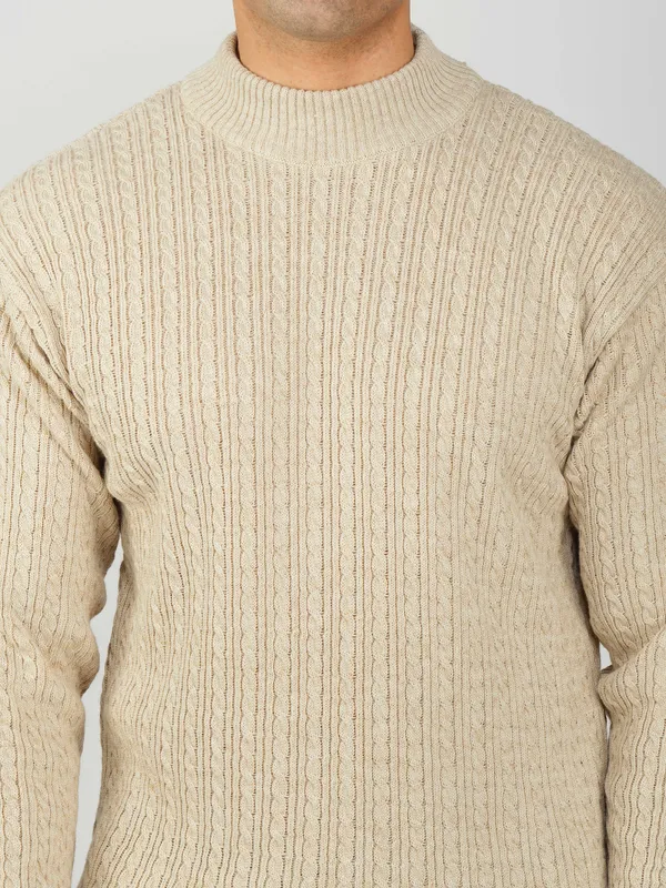 Cream_Men's_Small_Cable_Knit_High_Neck_Sweater_Winter_Warm_Slim_Fit_Pullover