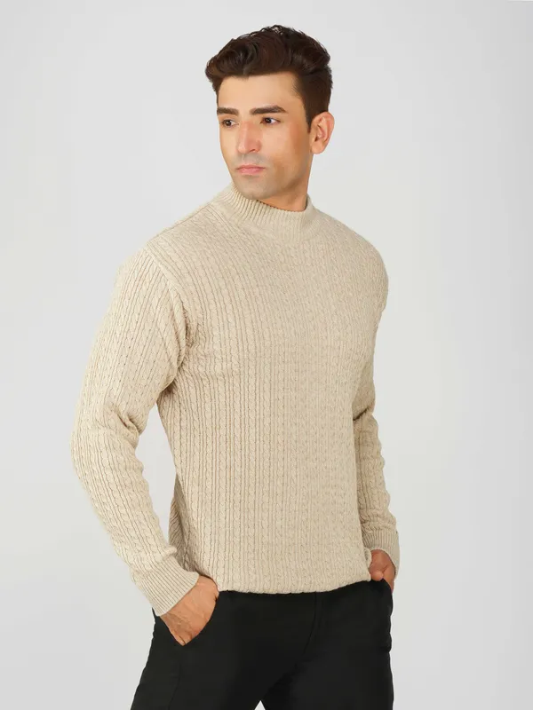 Cream_Men's_Small_Cable_Knit_High_Neck_Sweater_Winter_Warm_Slim_Fit_Pullover