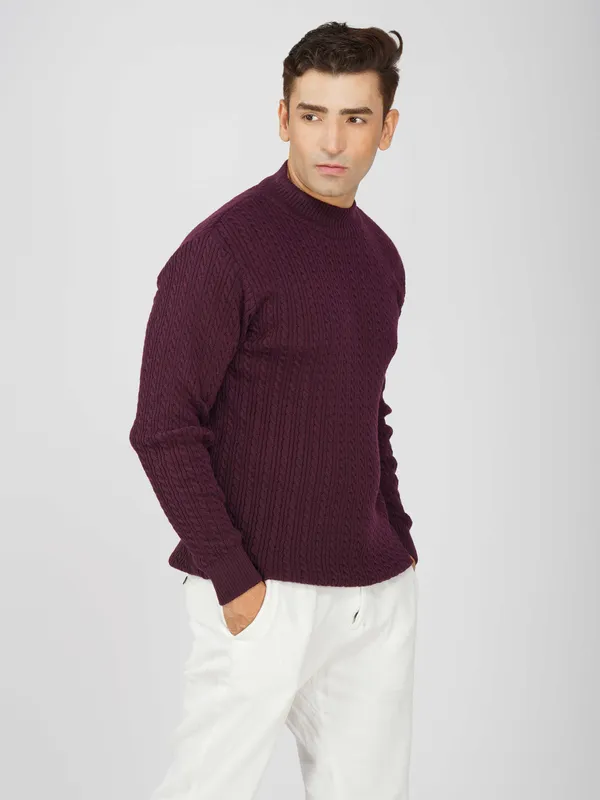 Purple_Men's_Small_Cable_Knit_High_Neck_Sweater_Winter_Warm_Slim_Fit_Pullover