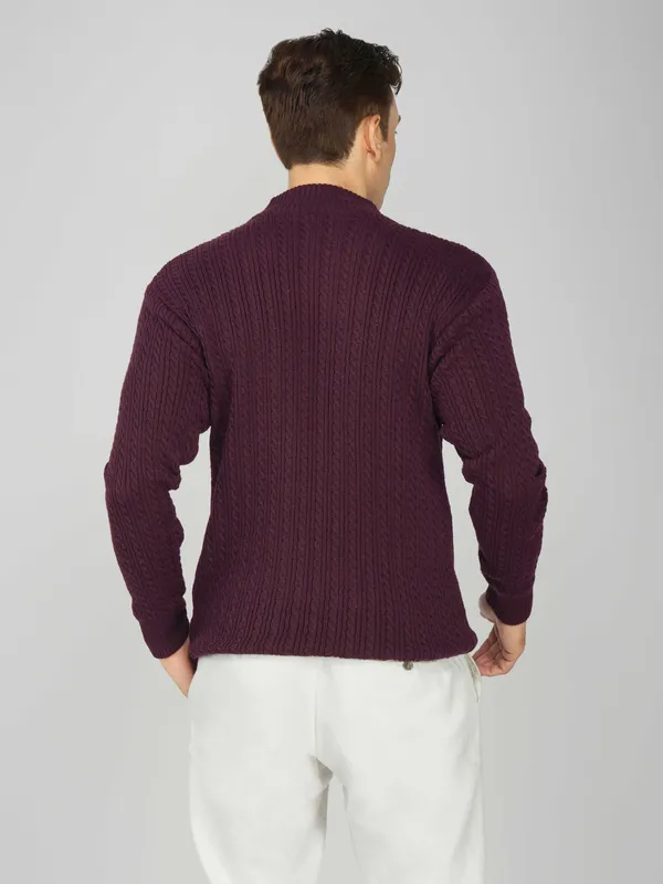 Purple_Men's_Small_Cable_Knit_High_Neck_Sweater_Winter_Warm_Slim_Fit_Pullover