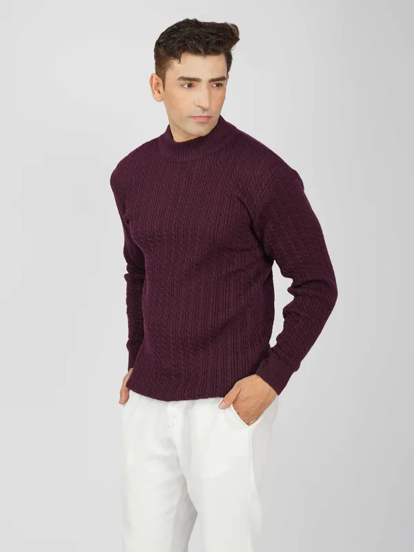 Purple_Men's_Small_Cable_Knit_High_Neck_Sweater_Winter_Warm_Slim_Fit_Pullover