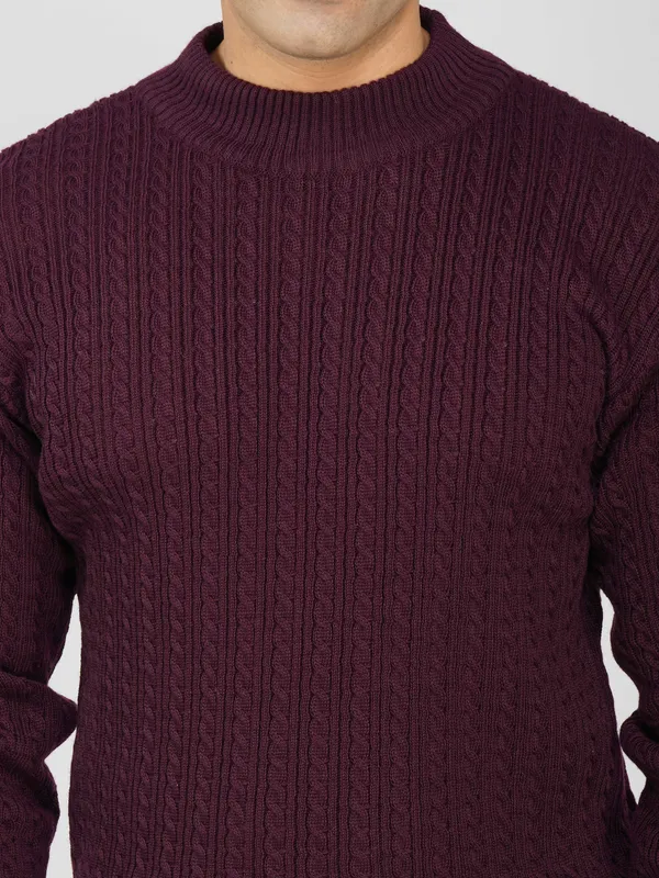 Purple_Men's_Small_Cable_Knit_High_Neck_Sweater_Winter_Warm_Slim_Fit_Pullover