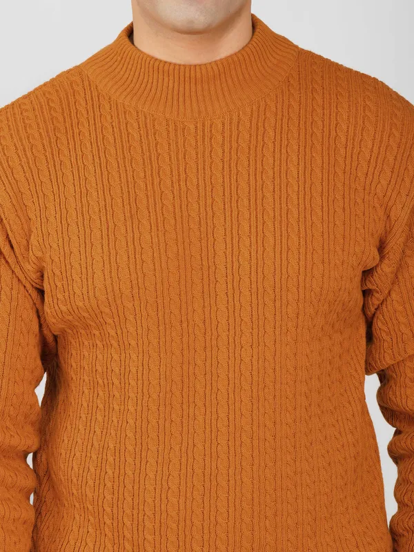 Rust_Men's_Small_Cable_Knit_High_Neck_Sweater_Winter_Warm_Slim_Fit_Pullover