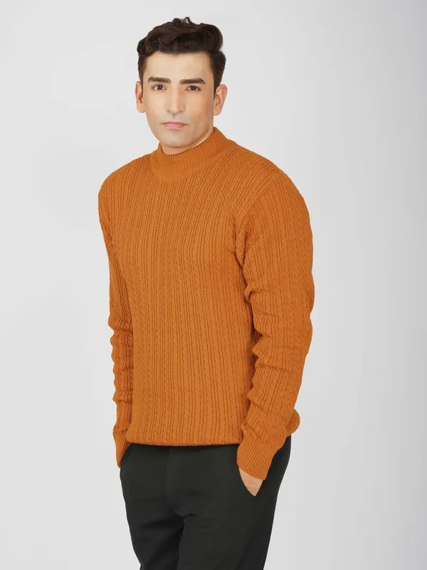 Rust_Men's_Small_Cable_Knit_High_Neck_Sweater_Winter_Warm_Slim_Fit_Pullover