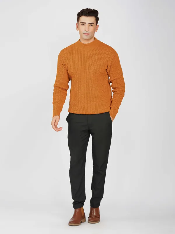 Rust_Men's_Small_Cable_Knit_High_Neck_Sweater_Winter_Warm_Slim_Fit_Pullover