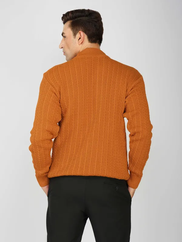 Rust_Men's_Small_Cable_Knit_High_Neck_Sweater_Winter_Warm_Slim_Fit_Pullover