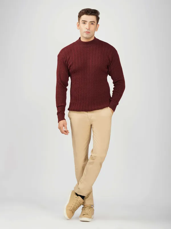 Wine_Men's_Small_Cable_Knit_High_Neck_Sweater_Winter_Warm_Slim_Fit_Pullover