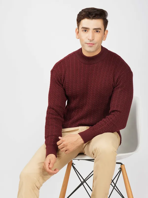Wine_Men's_Small_Cable_Knit_High_Neck_Sweater_Winter_Warm_Slim_Fit_Pullover