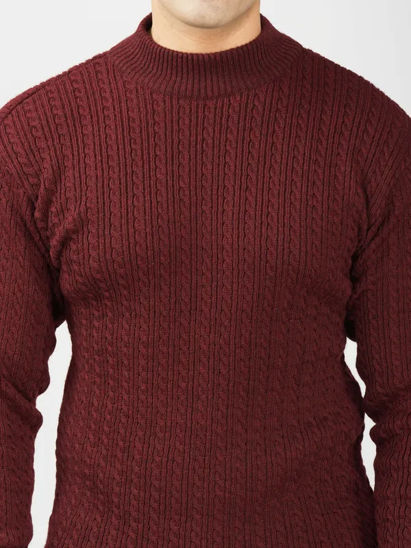 Wine_Men's_Small_Cable_Knit_High_Neck_Sweater_Winter_Warm_Slim_Fit_Pullover