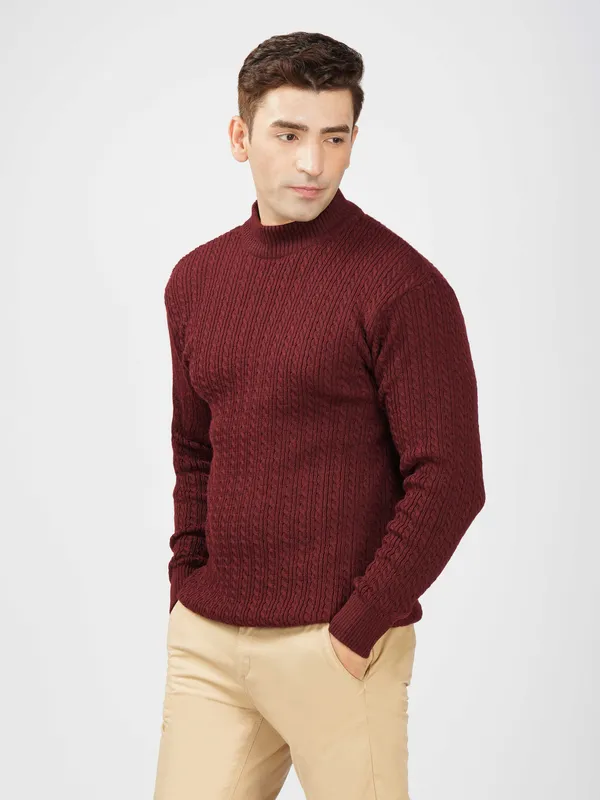 Wine_Men's_Small_Cable_Knit_High_Neck_Sweater_Winter_Warm_Slim_Fit_Pullover