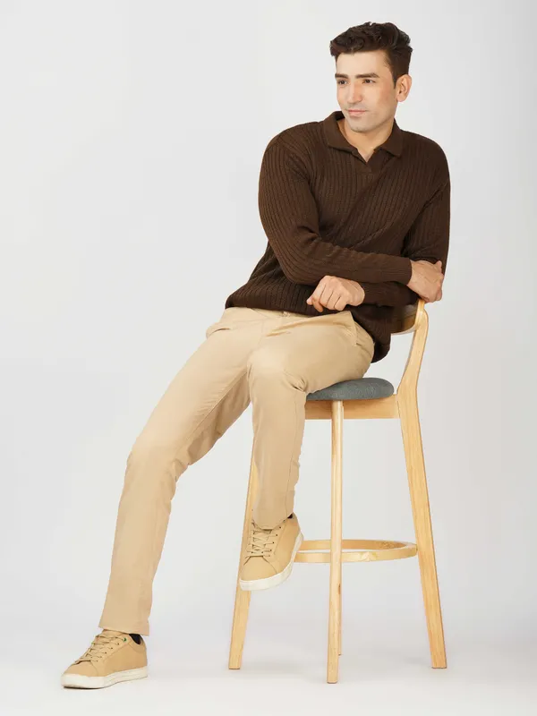 Brown_Mens_Johnny_Collar_Sweater