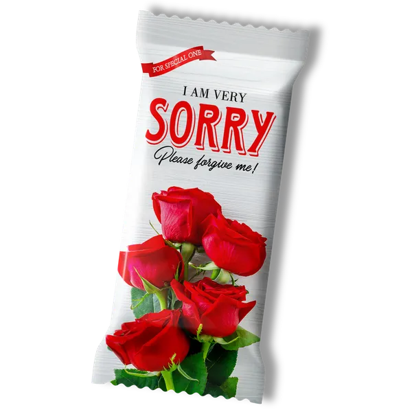 Sorry_Gift,_Chocolate_Large_Bar_(100G)