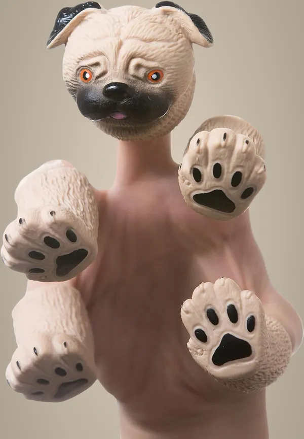 Multicolor_Playful_Pug_Hand_Puppet_Toy_Interactive_Storytelling,_Imaginative_Play,_And_Educational_Fun_For_Toddlers_Interactive_Finger_Toy_For_Kids_And_Adults