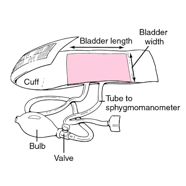 Latex_Rubber_Bag_Case_For_Blood_Pressure_Monitor__Durable,_Flexible,_Expandable_Cuff_Bladder__Universal_Fit_For_Digital_Bp_Machine__Medical_Accessory_For_Home_&_Clinic_Use