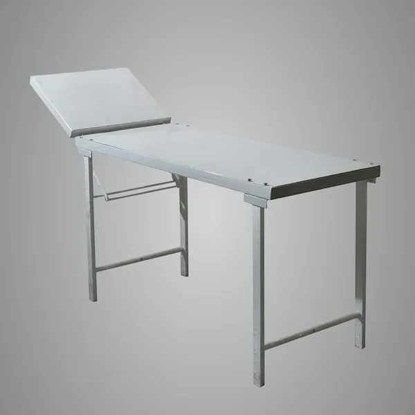 Patient_Examination_Table__One_Side_Adjustable_Backrest__Heavy-Duty_Steel_Frame__Powder-Coated_Finish__Cushioned_Top__22”_W_X_72”_L__Ideal_For_Clinics,_Hospitals,_And_Labs
