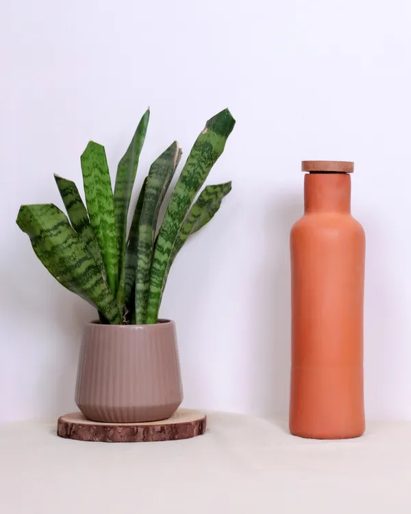 Clay_Water_Bottle_(Pure_Matti)