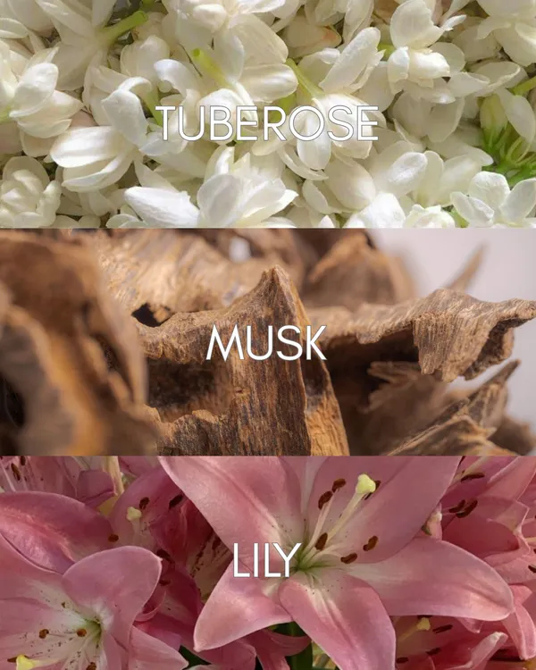 Floral_Bloom_Solid_Perfume_For_Women