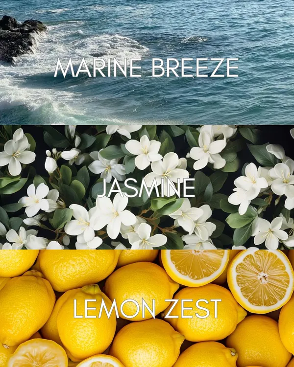 Aqua_Musk_Solid_Perfume_For_Mens