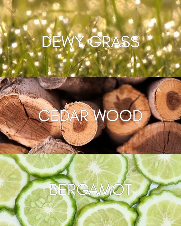 Oak_Dew_Solid_Perfume_For_Mens