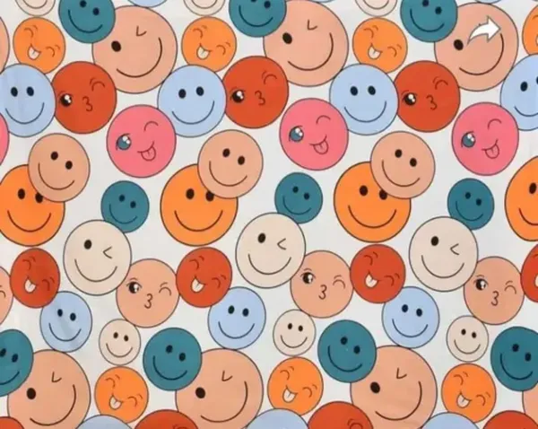 Multicolor_Premium_Cotton_Essence_Smiley_Pop_Bed_Sheet_with_pillow_cover