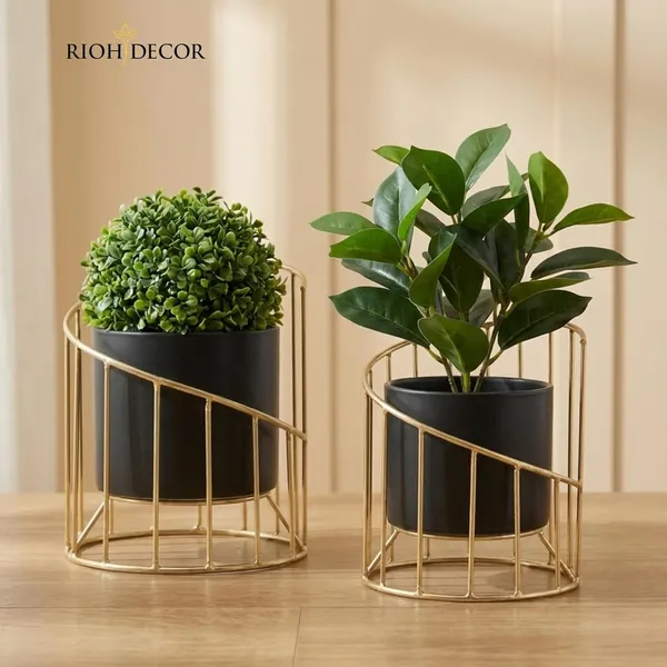 Ivory_White_And_Gold_Premium_Metal_Plant_Stand_Set_Heavy_Duty_Iron_Plant_Combo_Set