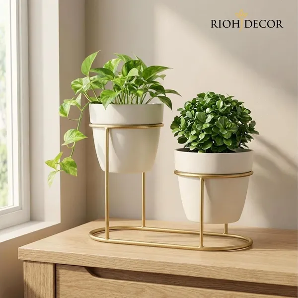 Ivory_White_And_Gold_Premium_Metal_Plant_Stand_Set_Heavy_Duty_Iron_Plant_Combo_Set