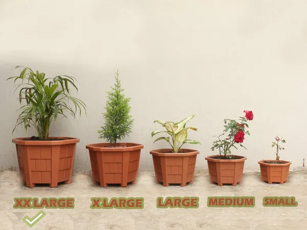 (Pack_Of_4)_Brown_Hexagonal_Plastic_Pots_Flower_Plant_Pot_2Xl_Durable_Plant_Pot_Hexagonal_Pot_Outdoor_Plants_Flower_Plastic_Pot