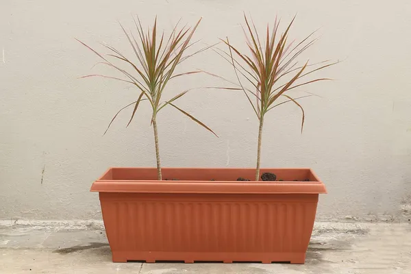 (Pack_of_30)_Brown_Flower_Pot_Large_Outdoor_Plant_Pot_Plant_Pots_Garden_Plastic_Flower_Pot_Big_Outdoor_Plant_Pot_Gamla_For_Plants_Big_(26_In)_Plant_Pot
