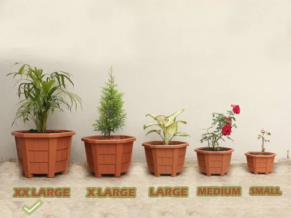 Brown_Hexagonal_(Pack_Of_4)_Modern_Design_Durable_Plastic_Plant_Pot_For_Gardening_(With_Plate)_(Xxl)