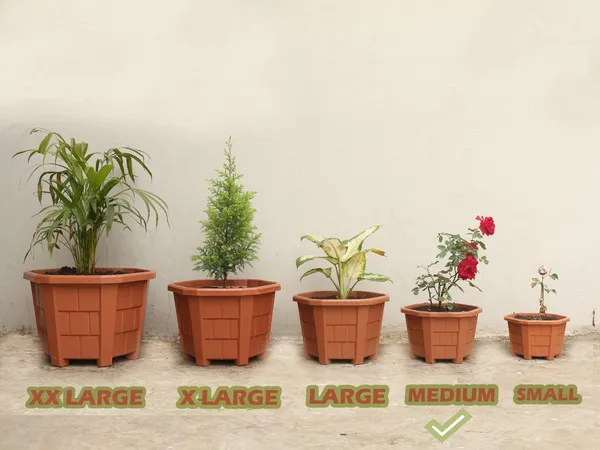 Brown_Hexagonal_Pack_of_4_Modern_Design_Durable_Plastic_Plant_Pot_for_Gardening_with_Plate,_Medium,_Terracotta_Brown