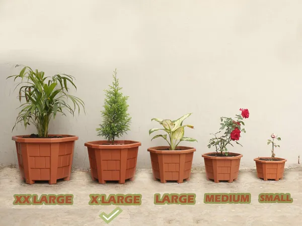 Black_Hexagonal_(Pack_Of_4)_Modern_Design_Durable_Plastic_Plant_Pot_For_Gardening_(With_Plate)_(Xl)