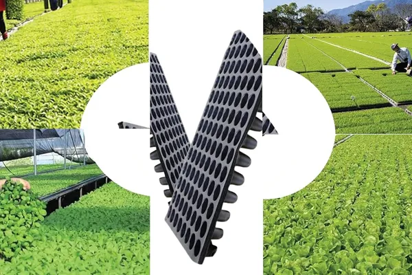 Black_Germination_Seedling_Trays_104_Holes_Germination_Tray_For_Seedling_Nursery_Tray_For_Plants_Reusable_Tray_For_Garden_Plantation