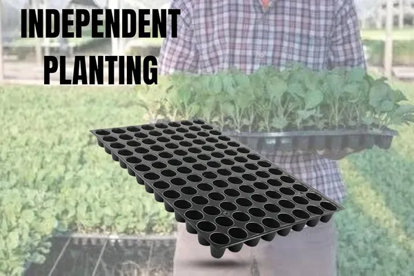 (Pack_of_10)_Black_Germination_Seedling_Trays_104_Holes_Germination_Tray_For_Seedling_Nursery_Tray_For_Plants_Reusable_Tray_For_Garden_Plantation