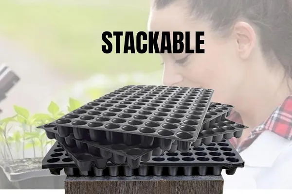 (Pack_of_10)_Black_Germination_Seedling_Trays_104_Holes_Germination_Tray_For_Seedling_Nursery_Tray_For_Plants_Reusable_Tray_For_Garden_Plantation