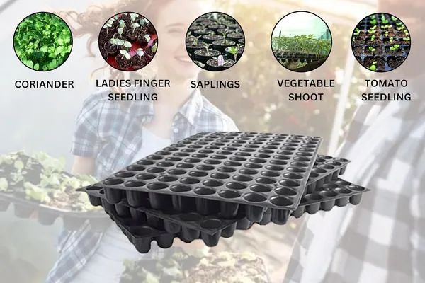 (Pack_of_10)_Black_Germination_Seedling_Trays_104_Holes_Germination_Tray_For_Seedling_Nursery_Tray_For_Plants_Reusable_Tray_For_Garden_Plantation