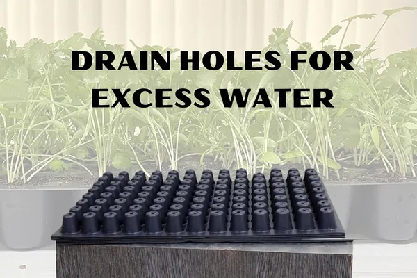 (Pack_Of_5)_Black_Germination_Seedling_Tray_-50_Big_Holes_Seedling_Treys_For_Plants_Seed_Trey_And_Plant_Tray_Reusable_Trays_For_Garden_Plantation_50_Big_Cavities_Tray_For_Seeding