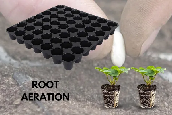 Pack_of_20_Black_Germination_Seedling_Tray_–Small_50_Holes_Seedling_Trays_For_Plants_Seed_Tray_And_Plant_Tray_Reusable_Trays_For_Garden_Plantation_Small_50_Holes_Cavities_Tray_For_Seeding