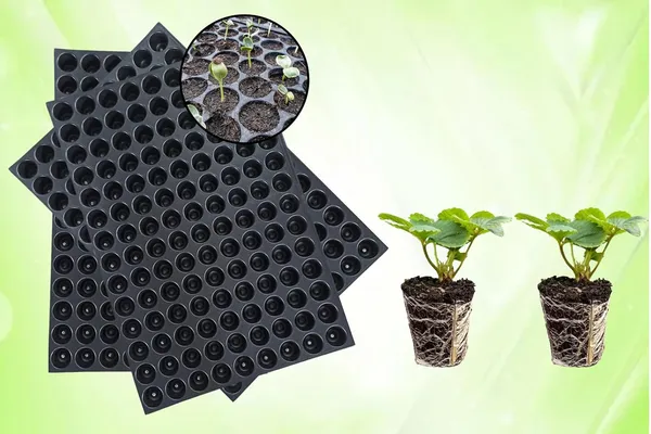 (Pack_Of_100pc)_Black_Germination_Seedling_Trays_(126_Holes)_Plant_For_Seedling_Nursery_Trays_For_Plants_Reusable_Trays_For_Garden_Plantation_126_Cavities_Tray_For_Seeding