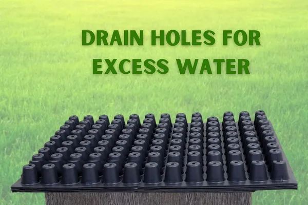 (Pack_of_20_PC)_Black_Germination_Seedling_Trays_(126_Holes)_Germination_Plant_For_Seedling_Nursery_Trays_For_Plants_Reusable_Trays_For_Garden_Plantation_126_Cavities_Tray_For_Seeding
