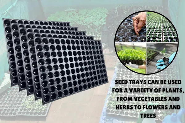 (Pack_of_20_PC)_Black_Germination_Seedling_Trays_(126_Holes)_Germination_Plant_For_Seedling_Nursery_Trays_For_Plants_Reusable_Trays_For_Garden_Plantation_126_Cavities_Tray_For_Seeding