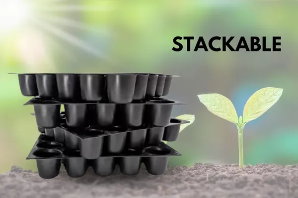 Black_25-Cavity_Big_Holes_Plastic_Seedling_Tray_With_Drainage_Holes_Reusable_Plant_Growing_Tray_For_Vegetables_And_Herbs