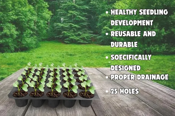 (Pack_of_30)_Black_25-Cavity_Big_Holes_Plastic_Seedling_Tray_with_Drainage_Holes,_Reusable_Plant_Growing_Tray_for_Vegetables_and_Herbs,_Black