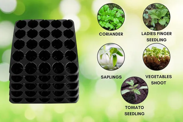 (Pack_of_30)_Black_25-Cavity_Big_Holes_Plastic_Seedling_Tray_with_Drainage_Holes,_Reusable_Plant_Growing_Tray_for_Vegetables_and_Herbs,_Black