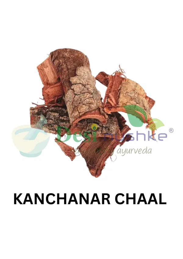 Kanchanar_Chaal_250_Gm_|_Kovidar_|_Mountain_Ebony_|_Kachnaar_Chaal_For_Women
