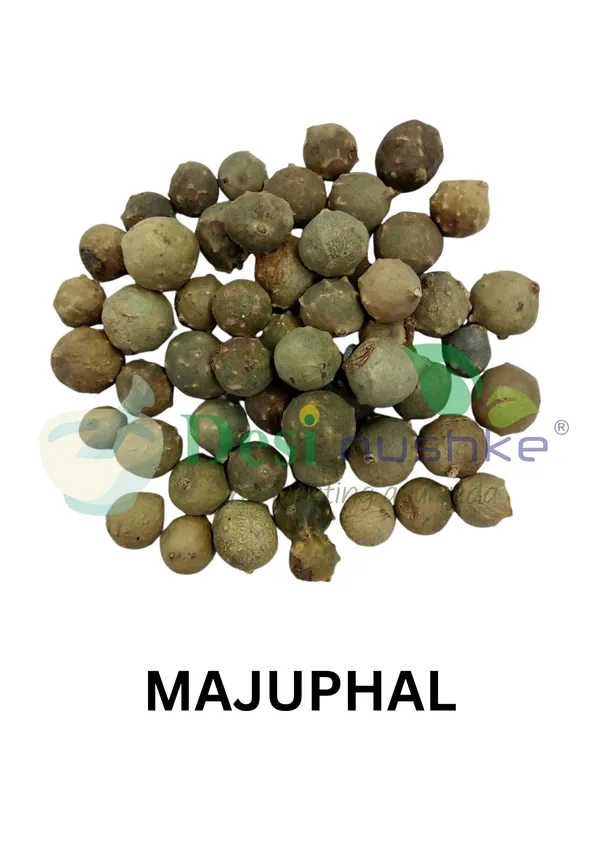 Majuphal_|_Masikai_|_Manjakani_|_Manjakani_|Maju_Phal_-_Majufal_200_Gm