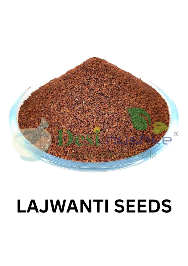 Lajwanti_Seeds_-_Lajvanti_Beej_-_Chui_Mui_-_Mimosa_Pudica_250_Gm