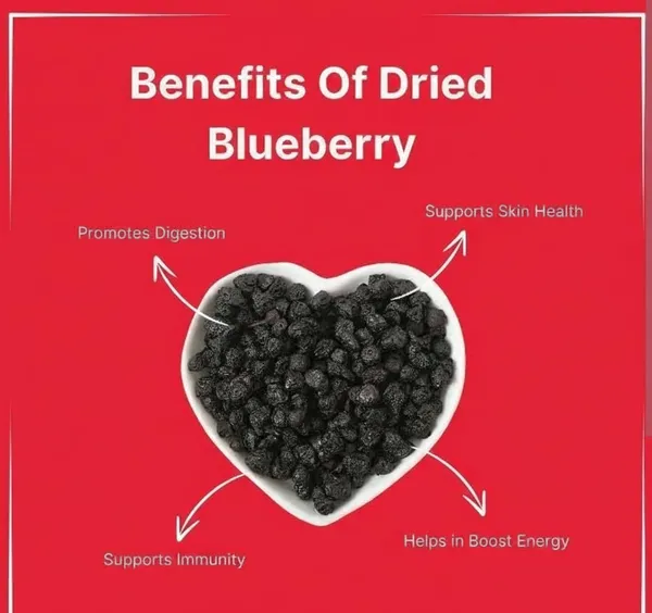 Premium_Dry_Blueberries