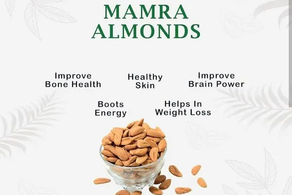 Premium_Mamra_Badam