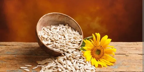 Premium_Sunflower_Seeds